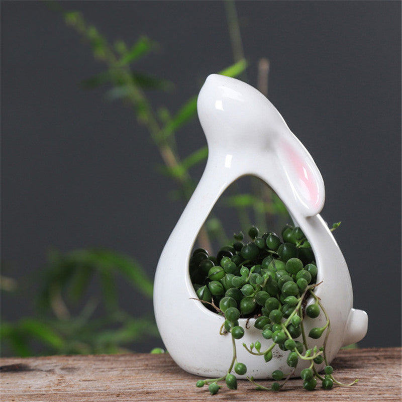 Rabbit Succulent Planters