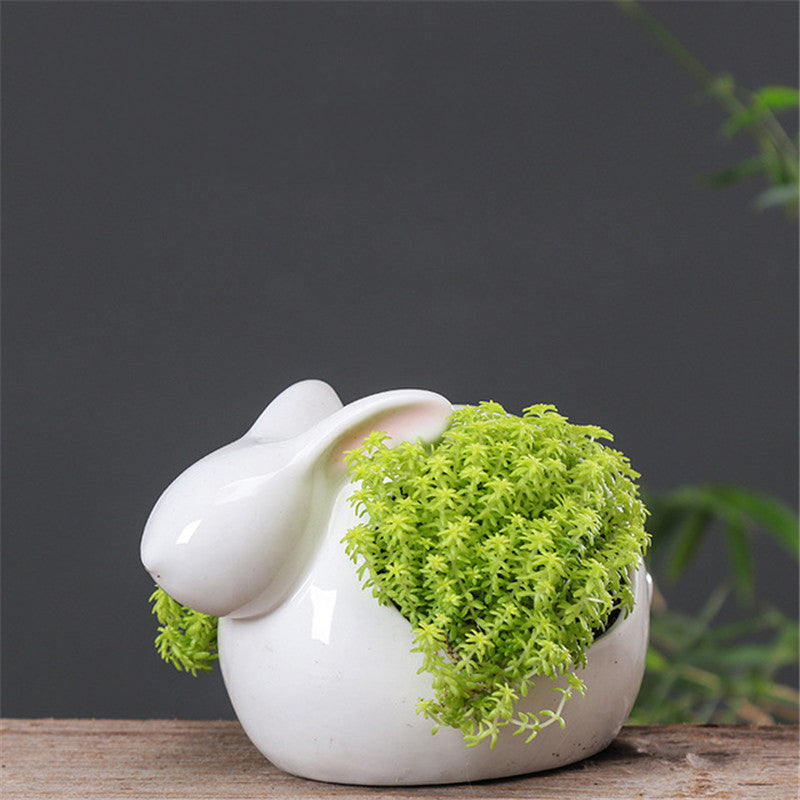 Rabbit Succulent Planters