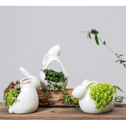 Rabbit Succulent Planters