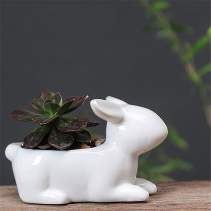 Rabbit Succulent Planters