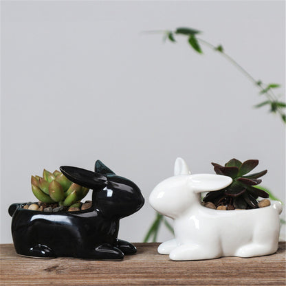 Rabbit Succulent Planters