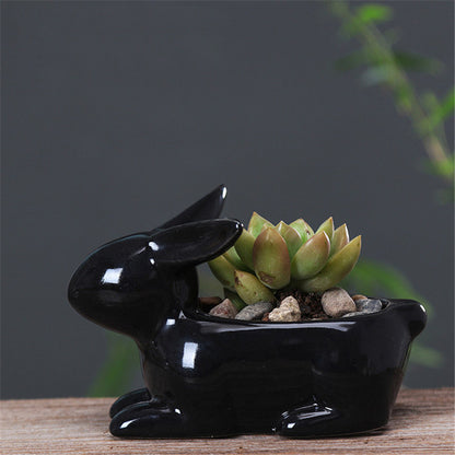 Rabbit Succulent Planters